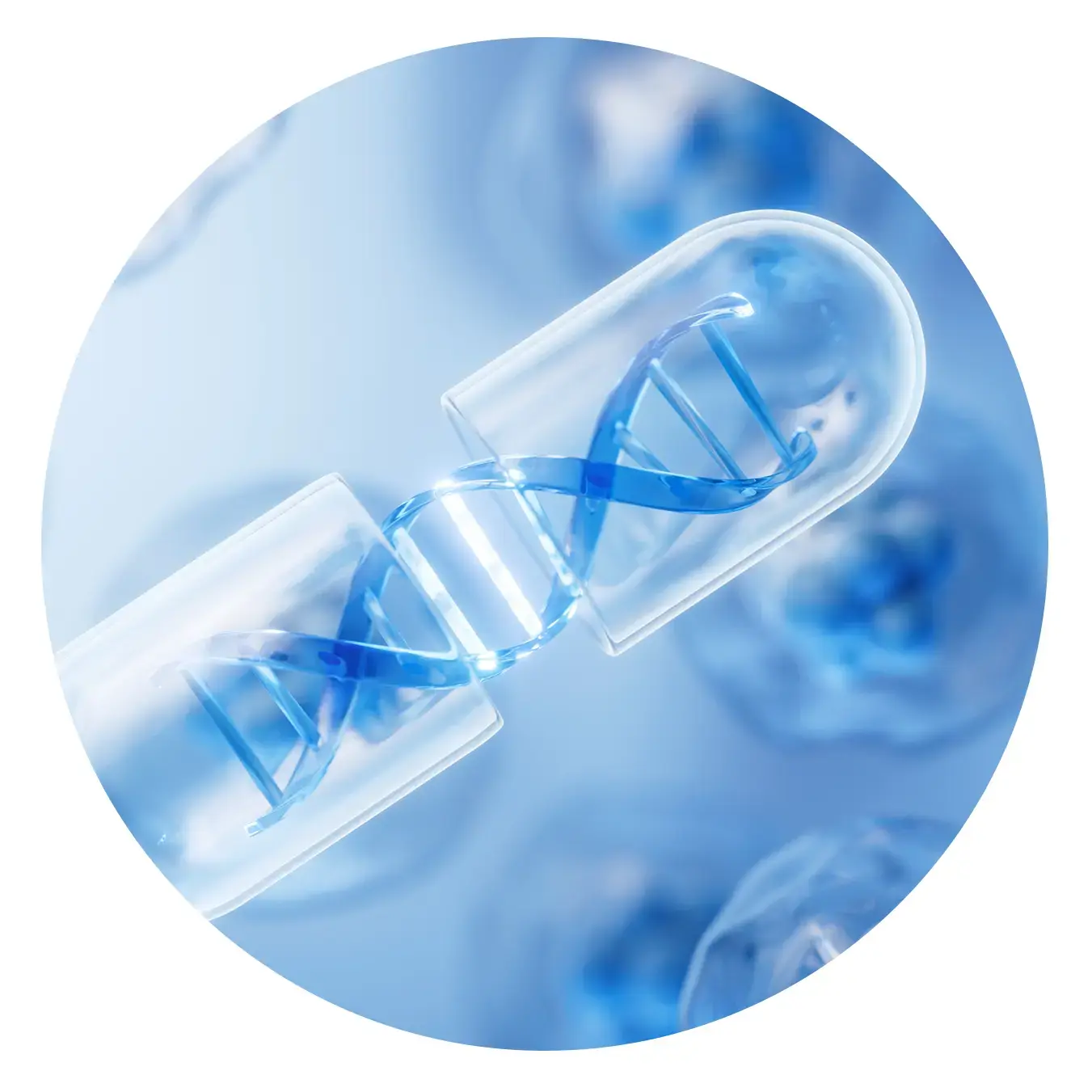 AMP Speaker Page Image-1