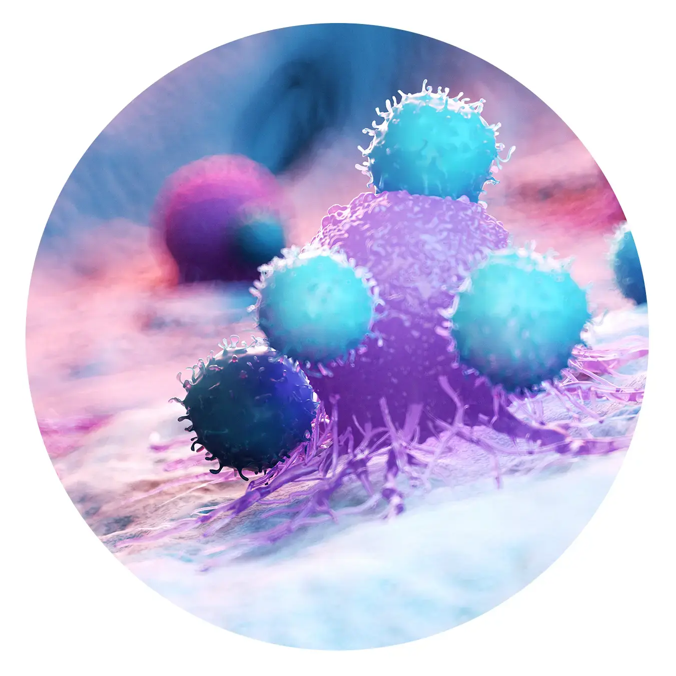 AMP Speaker Page Image-2